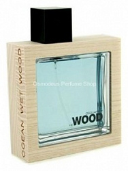 Dsquared2 He Wood Ocean Wet Wood